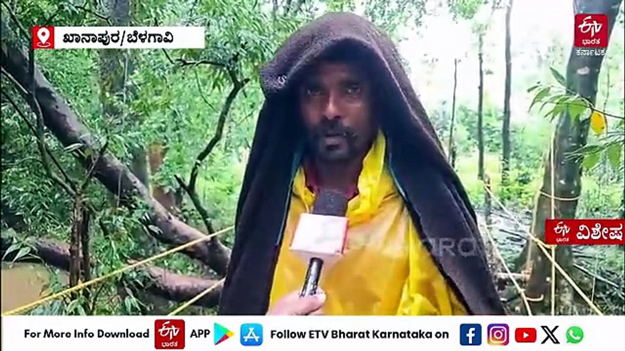 ಬೆಳಗಾವಿ: ಕಟ್ಟಿಗೆ ಸೇತುವೆ ಮೇಲೆ ಅಪಾಯಕಾರಿ ನಡಿಗೆ, ಇದು ಖಾನಾಪುರ ಕಾಡಿನ ಮಕ್ಕಳ ಕಥೆ - ವ್ಯಥೆ