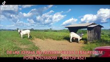 FAZENDA COM 1017 ALQUEIRÃO A VENDA CMC