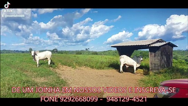 FAZENDA COM 1017 ALQUEIRÃO A VENDA CMC