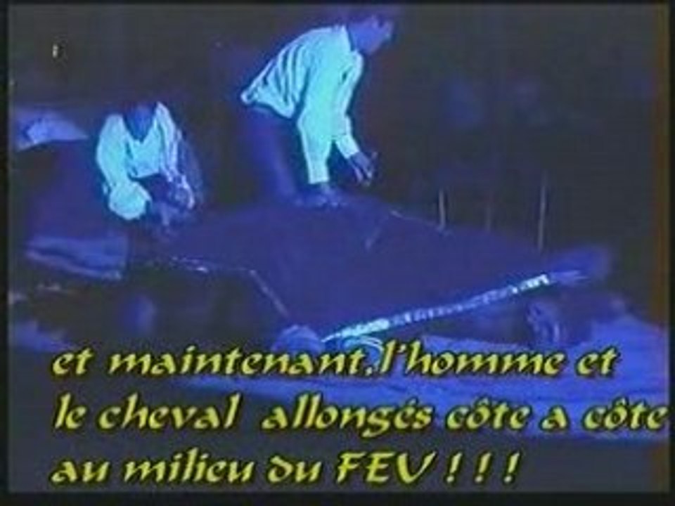 CHEVAL et FADO..CHEVAL et le FEU..L' ARABE  le seigneur