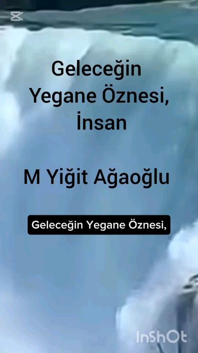 insan