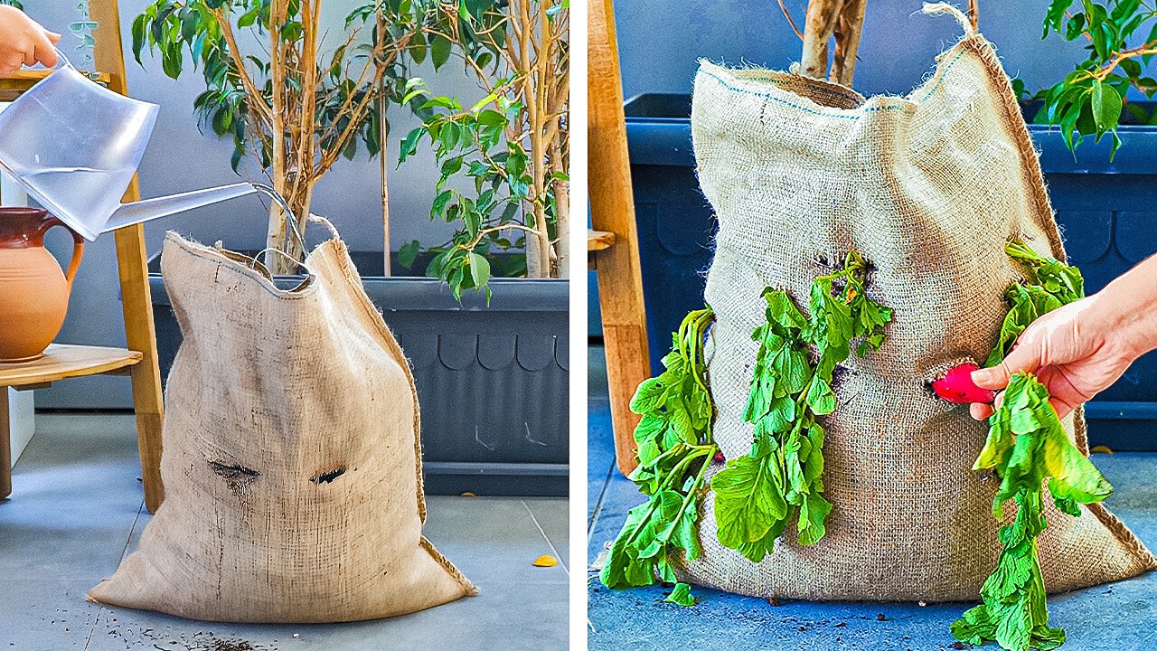Easy Gardening Tricks for a Thriving Blooming Garden in Just Two Steps