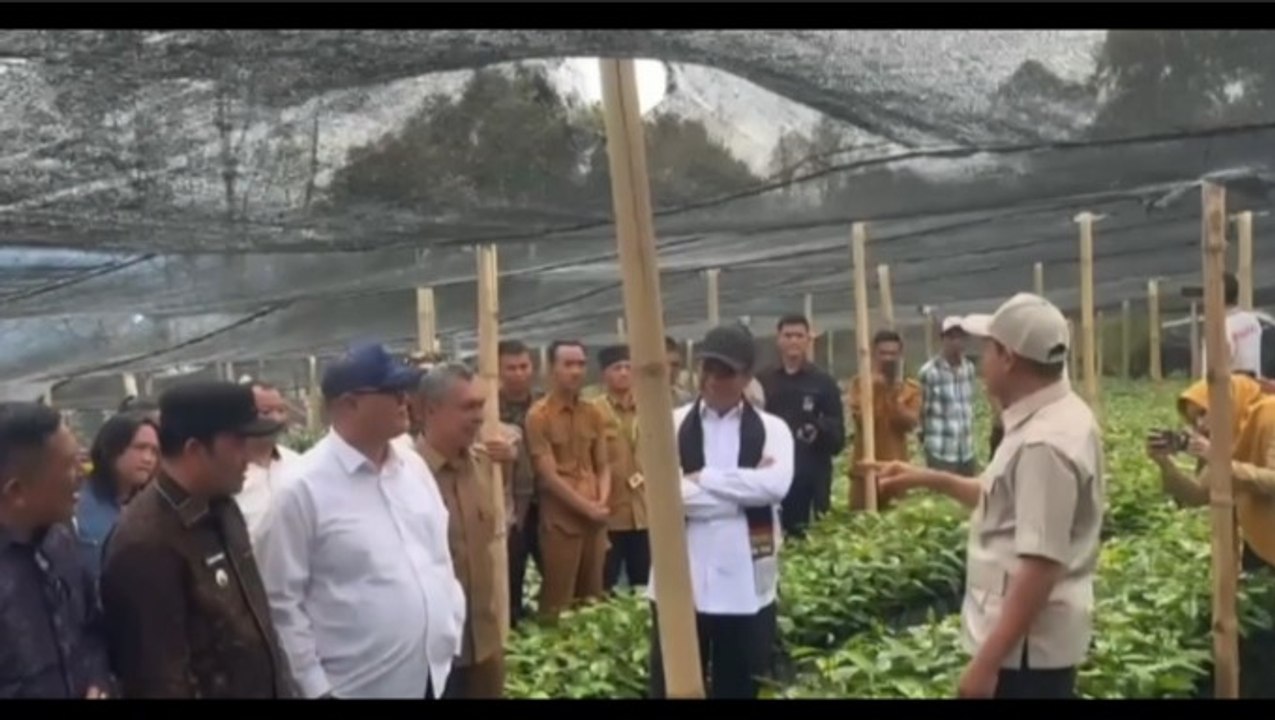 Mentan Perkuat Pengembangan Kopi Gayo Pascabencana Aceh, Fokus Sejahterakan Petani