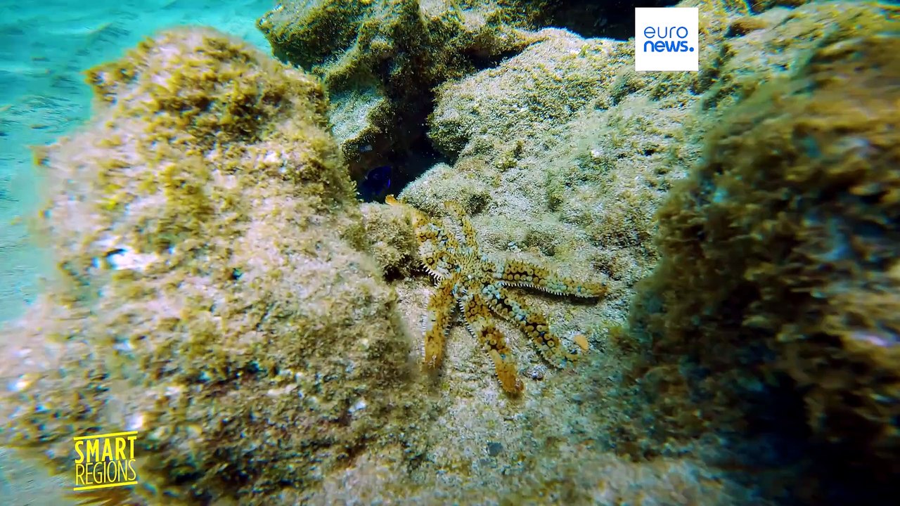 Isole Canarie: le foto scattate dai cittadini contribuiscono alla mappatura marina della Macaronesia