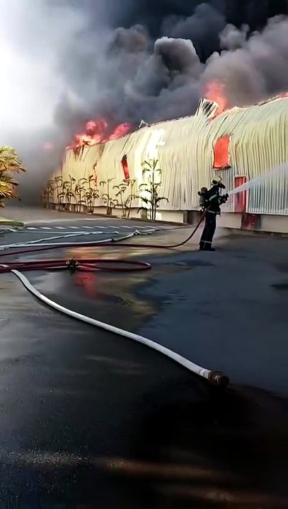 Incêndio destrói parte de fábrica da AMC Têxtil, dona das marcas Colcci, Fórum e Triton