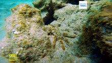 Канарские острова: фотографии туристов помогают составить морские карты Макаронезии