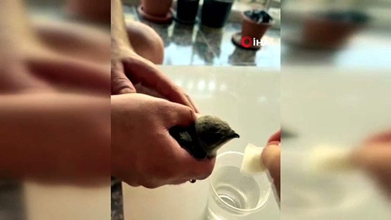 Sıcaktan düştü, bir yudum suyla dirildi!