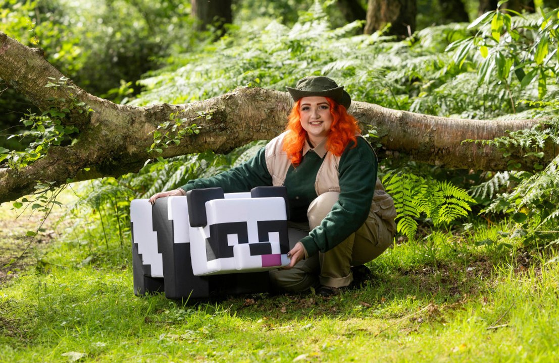 Alton Towers Resort revealed its Minecraft exclusive in-game reward