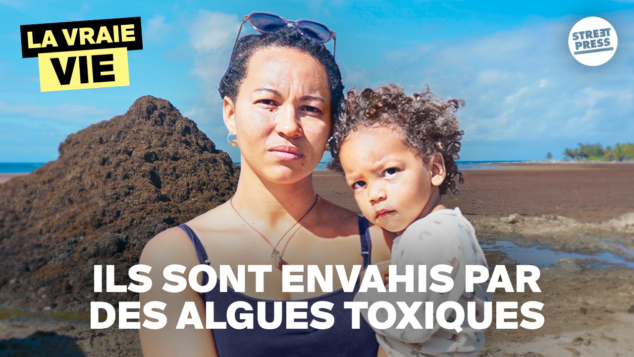 "On a l'impression qu'on va y rester" : l'enfer des sargasses en Guadeloupe | LA VRAIE VIE