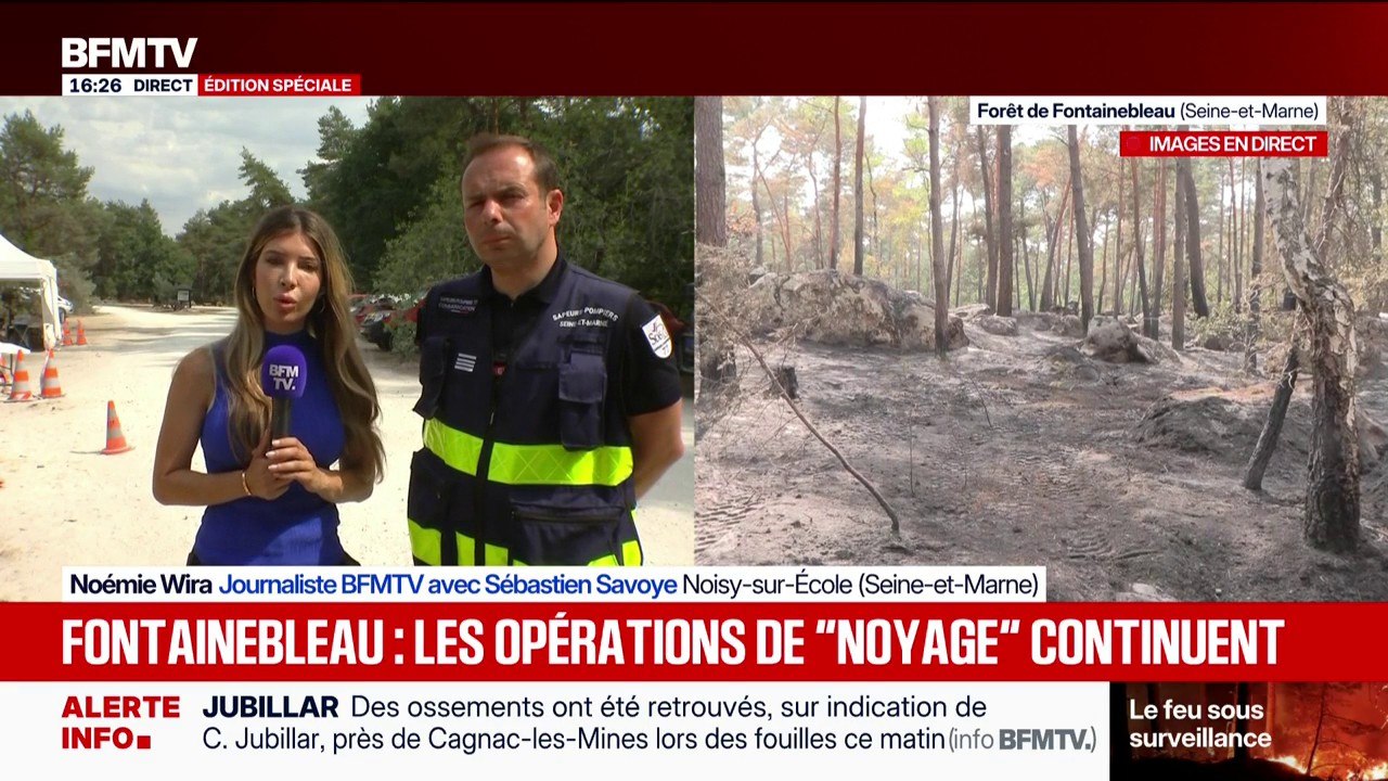 Incendie à Fontainebleau: le feu est fixé, mais près de 1.000 sapeurs-pompiers restent encore mobilisés