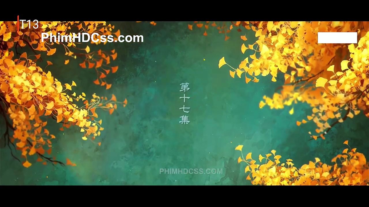 bhs17hd