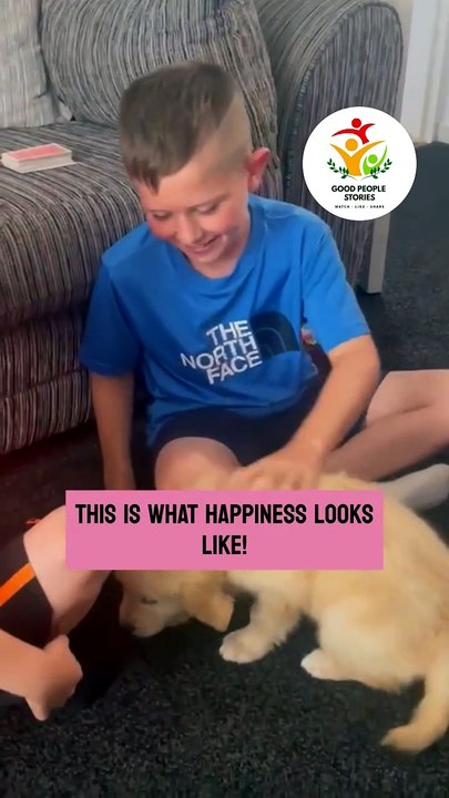 Heartwarming Surprise: Gentle Boy Receives a Puppy from Parents