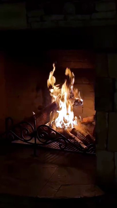 What would you burn in this fire? 🔥