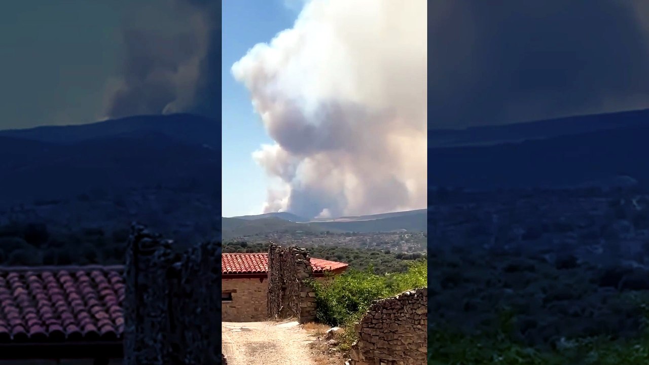 Castilla-La Mancha pide la intervención de la UME en el incendio forestal de La Mierla, en Guadalajara