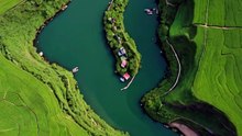 【生命力に驚き】 世界に海老は2500種類以上いるらしい #short