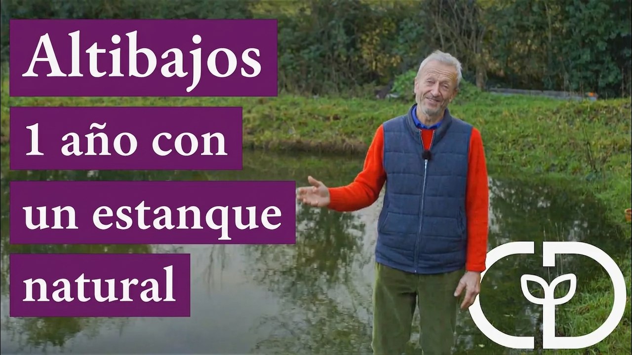 Estanque sin lona, sube, baja y vuelve a subir en 2022
