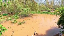River fishing🎣