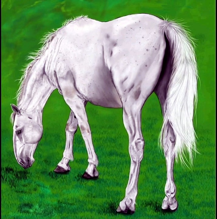 SERDAR ŞİMŞEK DRAWİNG