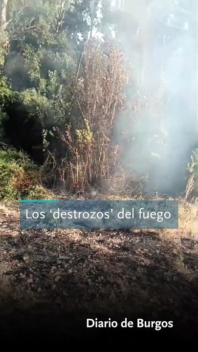 Destrozos fuego