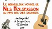 Nils Holgersson (générique à la guitare 12 cordes)