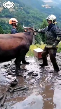 Una tromba de agua provoca una inundación y daños materiales en Llamera (Asturias)