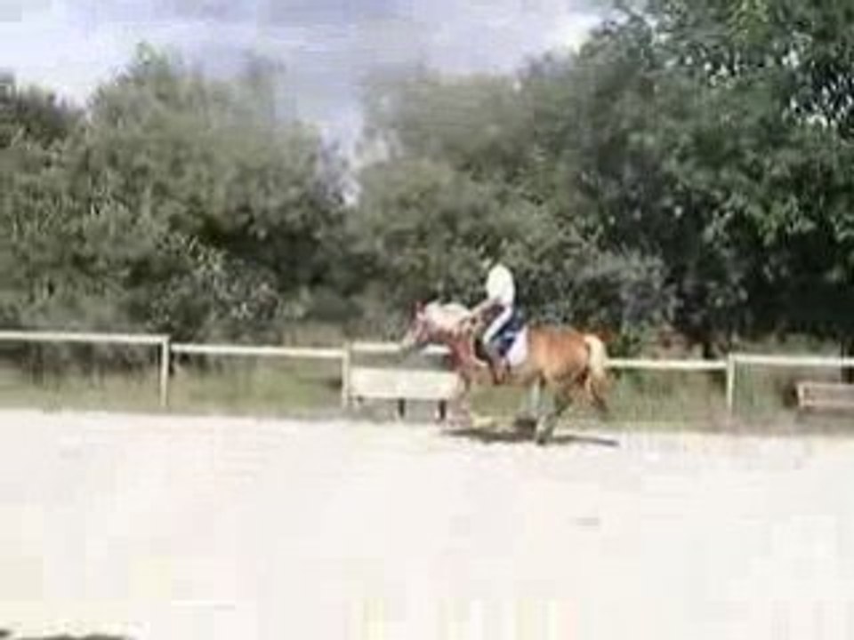 obstacle