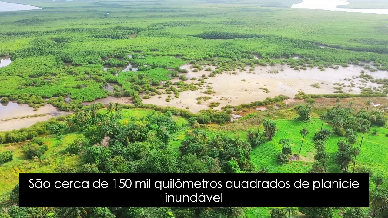 Mato Grosso do Sul: O Estado Mais Curioso do Brasil que Poucos Conhecem de Verdade