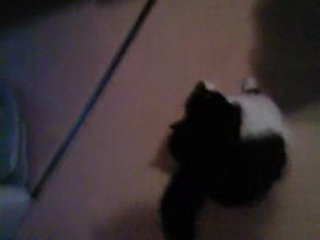 Ma chipie me fai des calin qan je rentre chez moi