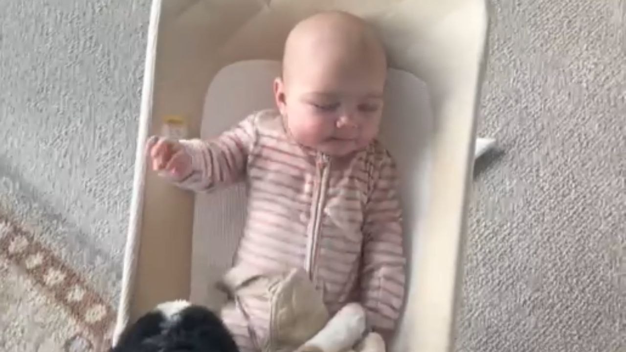 New Puppy Quickly Bonds with Owner's Newborn Baby
