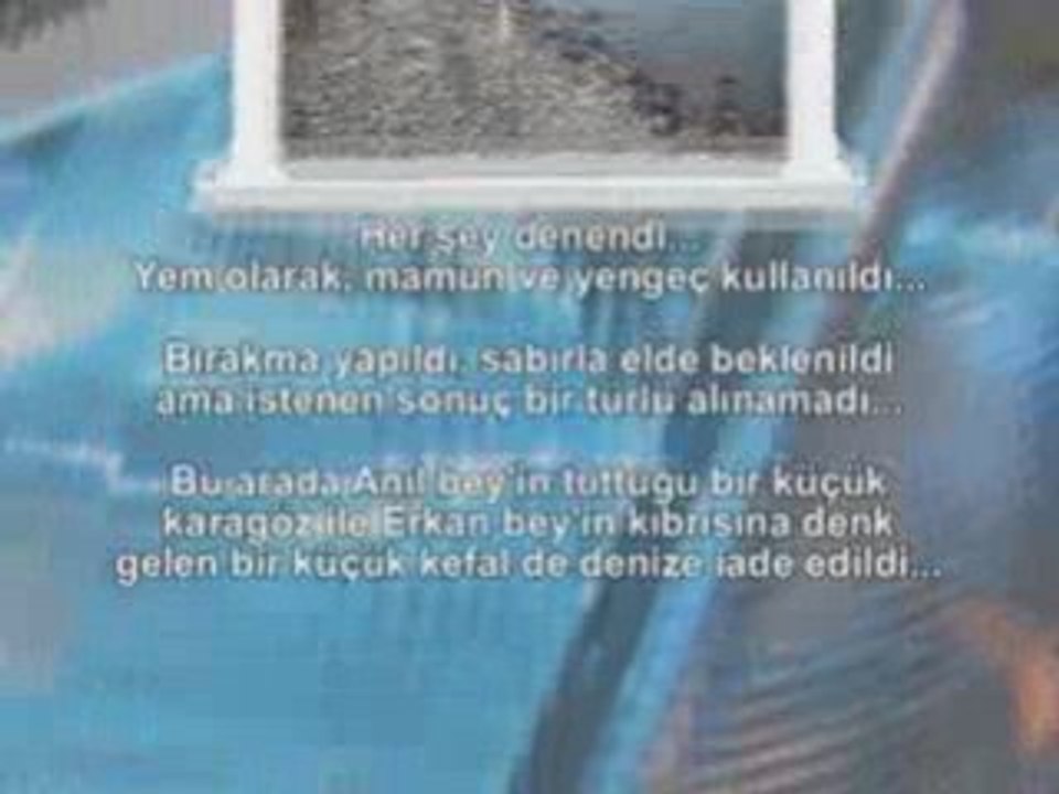 Balıkavı02
