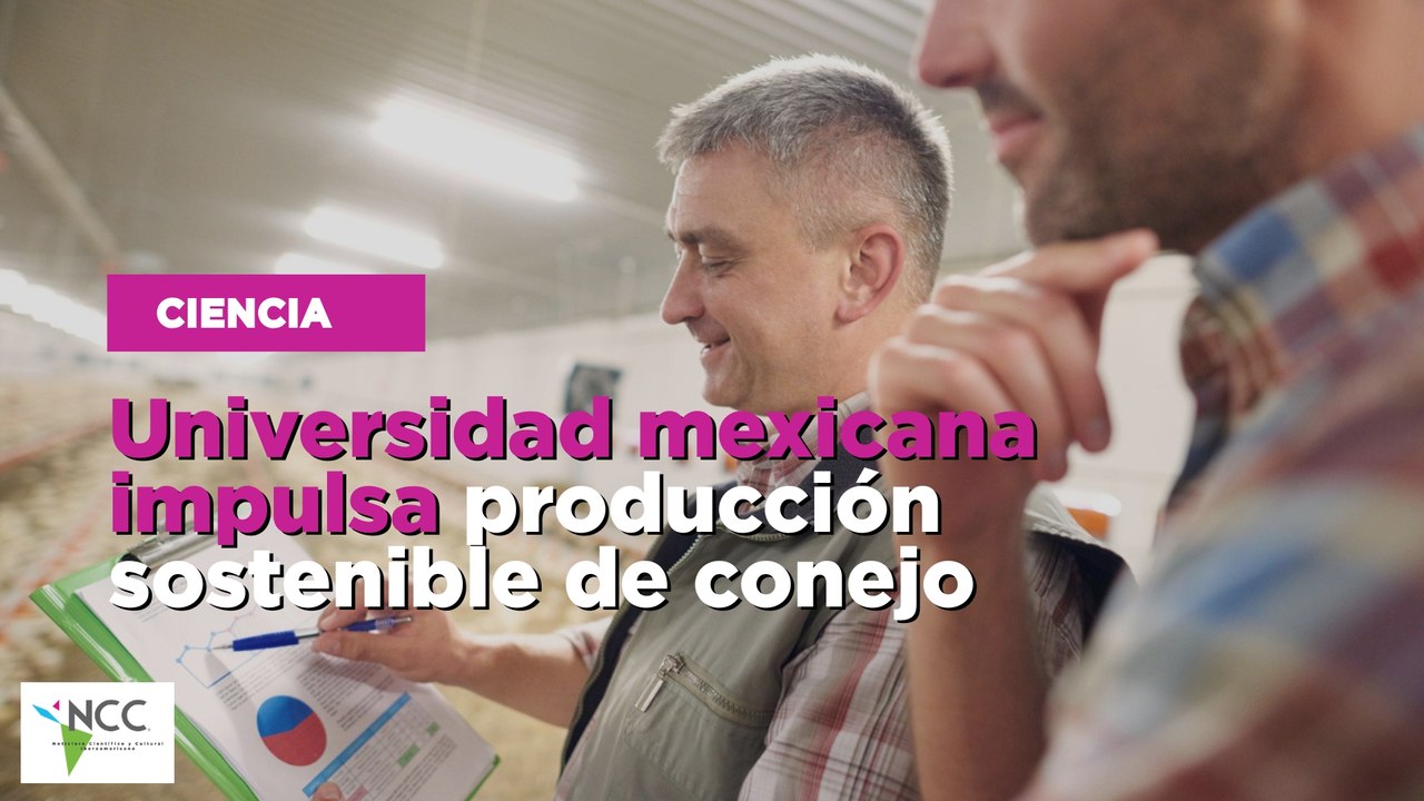 Universidad mexicana impulsa producción sostenible de conejo