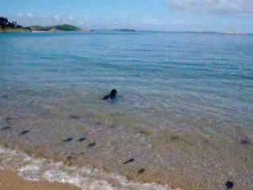 Fanny à la plage