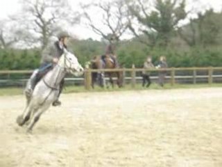 Entrainement Arradon 1m10 Nico & Nénette