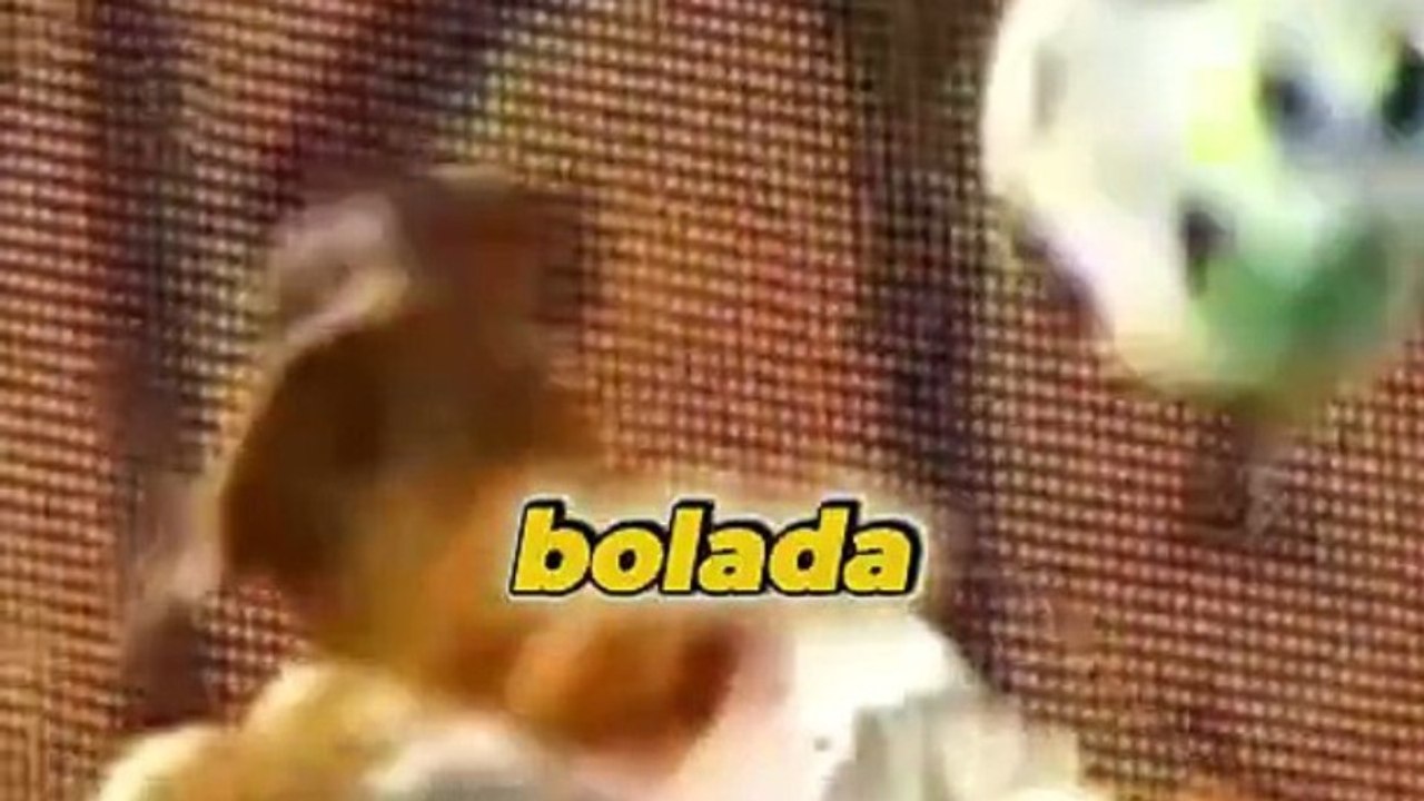 A filha do Neymar levou uma bolada e ele fez isso como vingança - Fut AdS