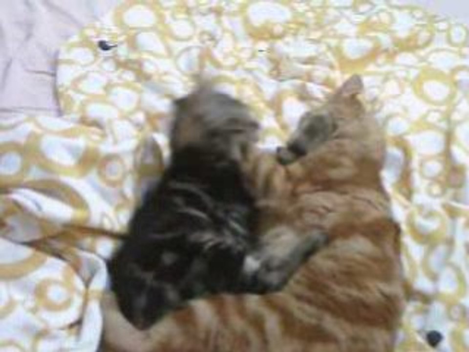Maggie et bart 1