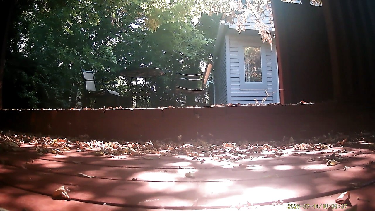 Wildlife Filmed By Haza PR800 Wild Camera, Levagood Area, Dearborn, MI, July 13 Through 16, 2026