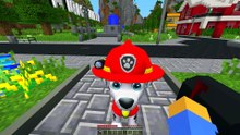 TRABAJAMOS EN UN HOSPITAL DE PAW PATROL CON ANOMALÍAS EN MINECRAFT 😱