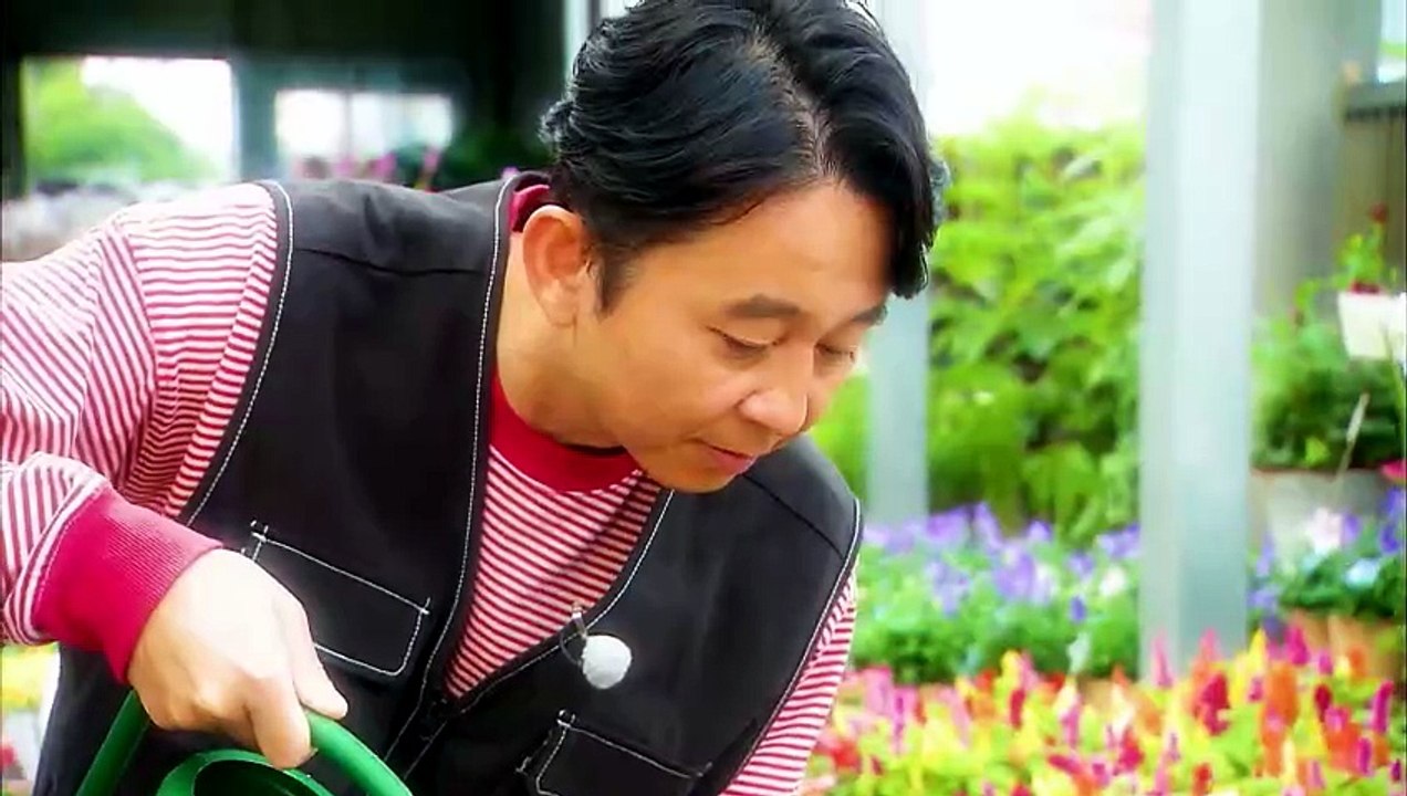 夢が咲く 有吉園芸～Road to start a garden shop～.260714.ケースの中に自然を再現するパルダリウムに挑戦