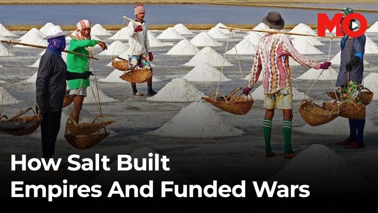 How salt built empires and funded wars