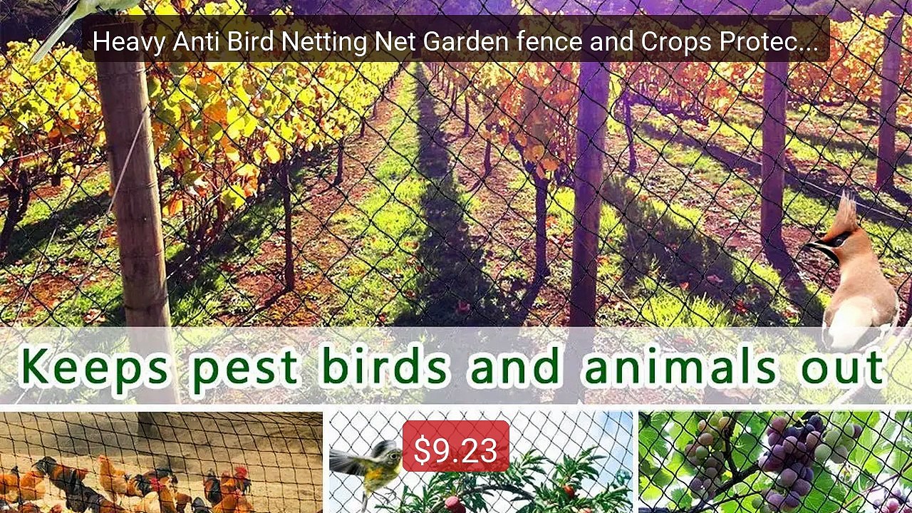 Heavy Anti Bird Netting Net Garden fence and Crops Protecti... -- Top Pick 2026 | Unbeatable Price!