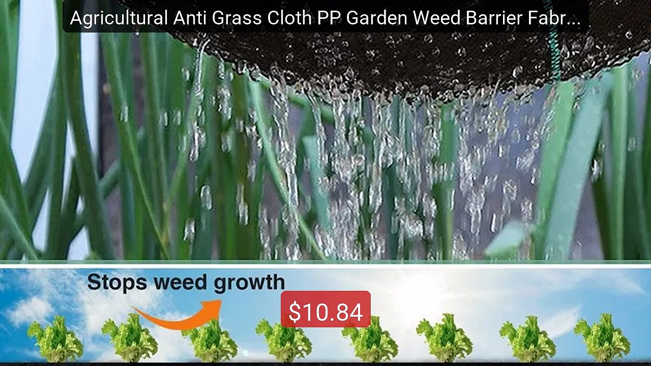 Agricultural Anti Grass Cloth PP Garden Weed Barrier Fabric Pe... -- Best Buy 2026 | Great Quality!