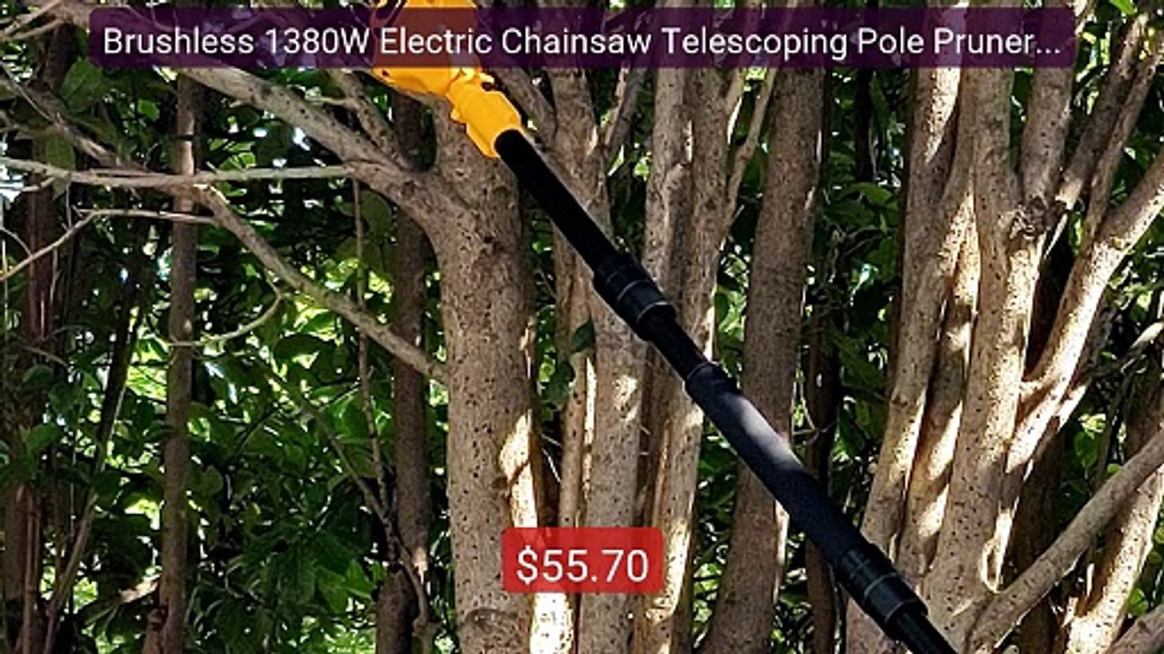 Brushless 1380W Electric Chainsaw Telescoping Pole Pruner High... -- Best Buy 2026 | Great Quality!