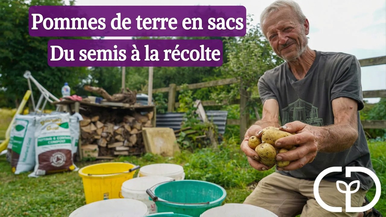 Comparatif de 7 composts pour voir lequel fait pousser les meilleures pommes de terre