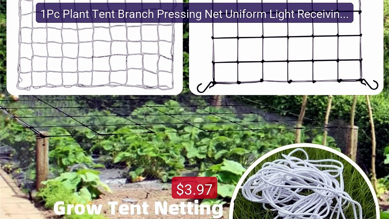1Pc Plant Tent Branch Pressing Net Uniform Light Receiving ... -- Top Pick 2026 | Unbeatable Price!