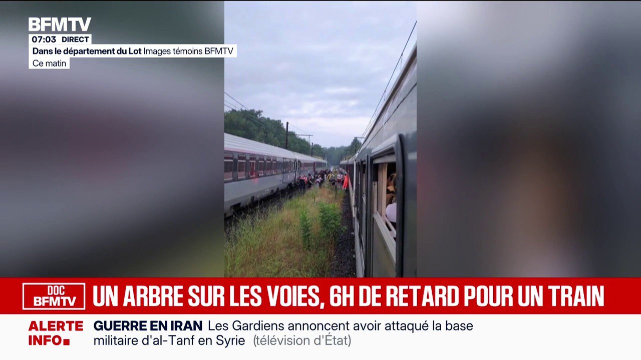 Un train Toulouse-Paris bloqué plusieurs heures en raison d'une chute d'arbre sur les voies