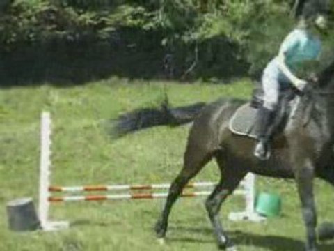 Séance cavalettis et obstacle with Plouf !