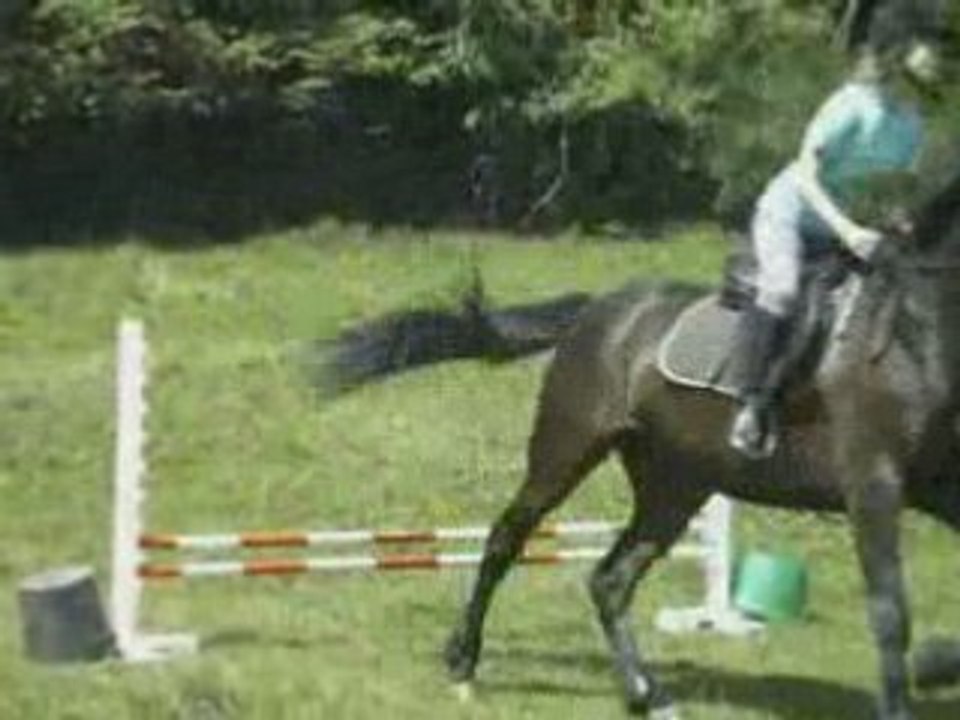 Séance cavalettis et obstacle with Plouf !