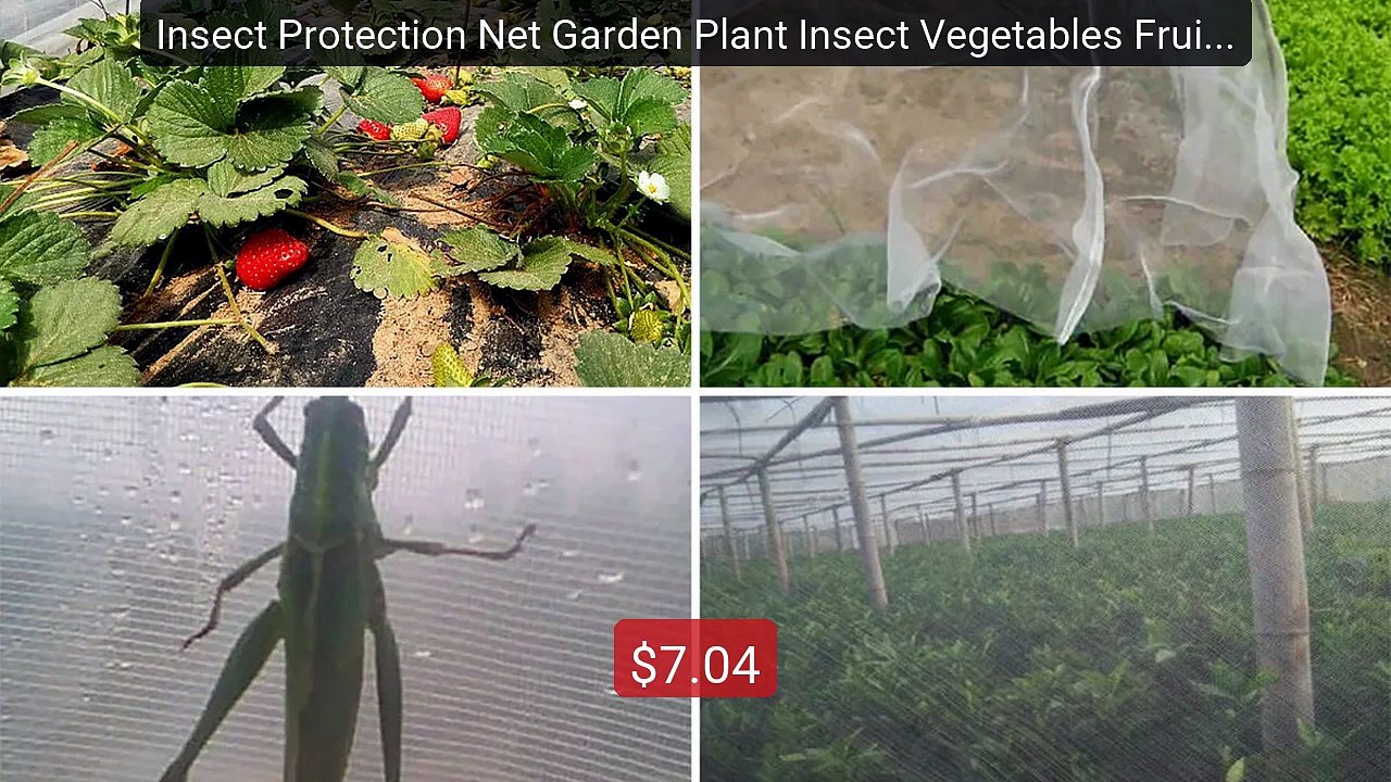 Insect Protection Net Garden Plant Insect Vegetables Fruit ... -- Top Pick 2026 | Unbeatable Price!