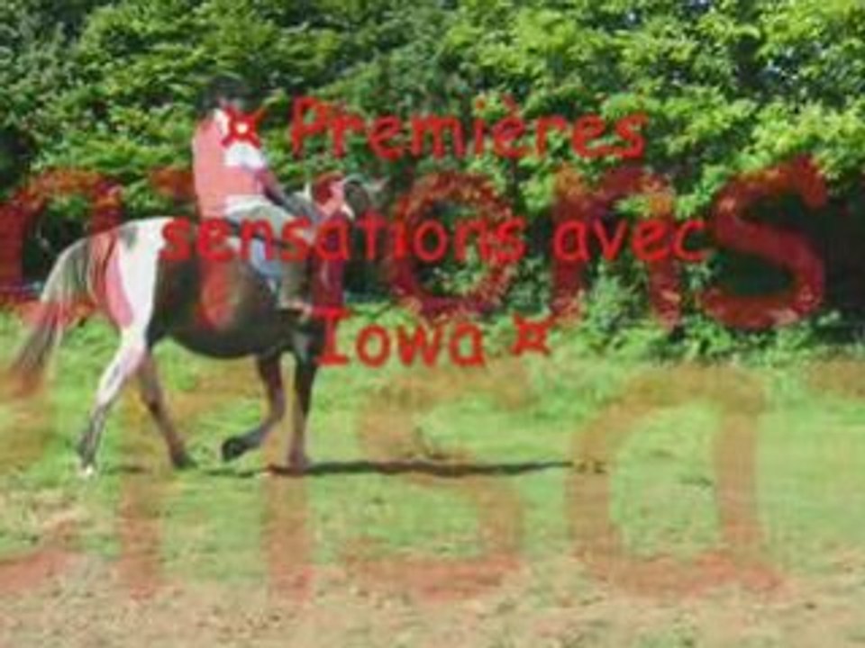Premiers pas avec Iowa