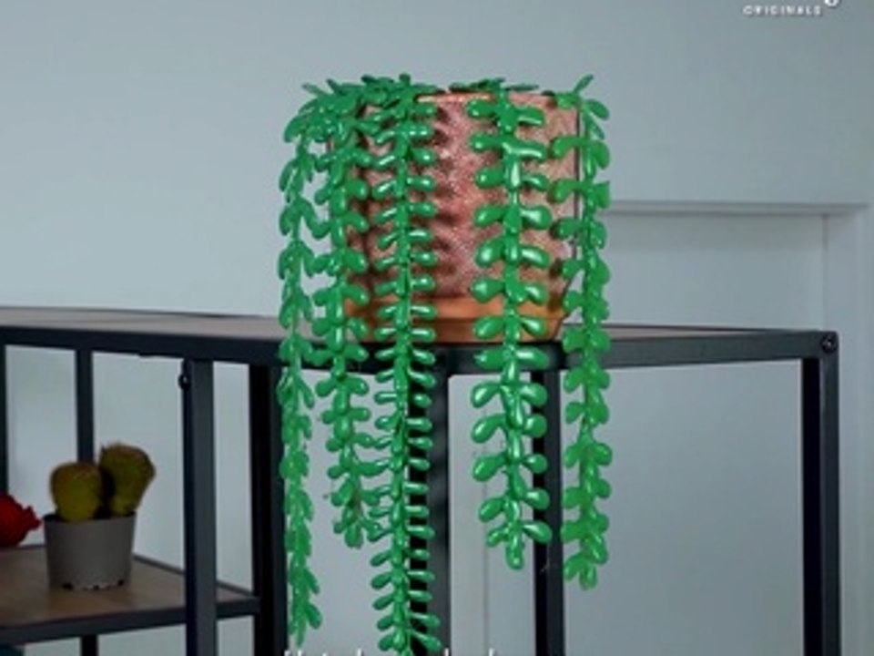 Are you ready for some of the most creative DIY's?